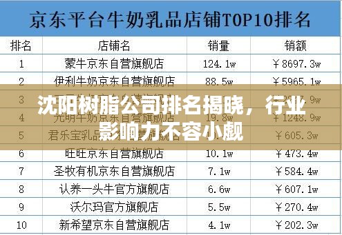 沈阳树脂公司排名揭晓，行业影响力不容小觑