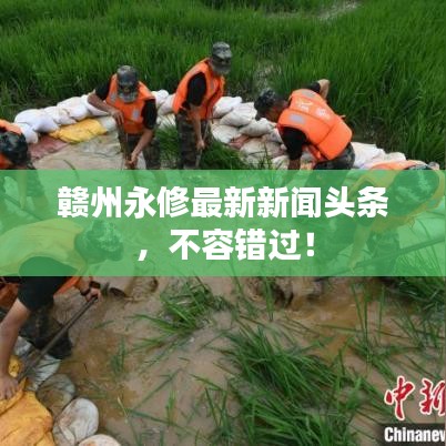 赣州永修最新新闻头条，不容错过！