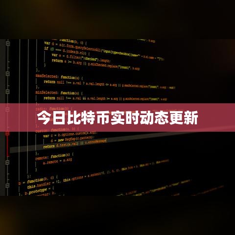 今日比特币实时动态更新