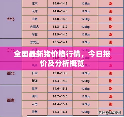 飞扬拨扈