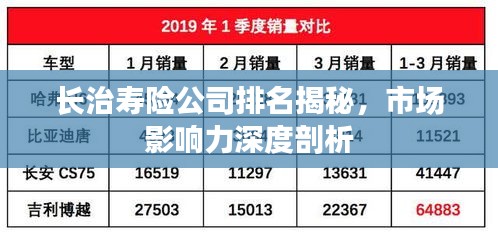 长治寿险公司排名揭秘，市场影响力深度剖析