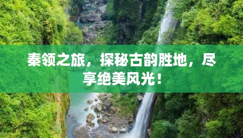 秦领之旅，探秘古韵胜地，尽享绝美风光！