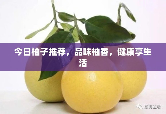 今日柚子推荐，品味柚香，健康享生活