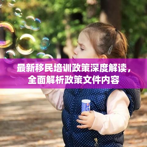 最新移民培训政策深度解读，全面解析政策文件内容