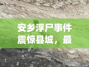 安乡浮尸事件震惊县城，最新头条新闻速递