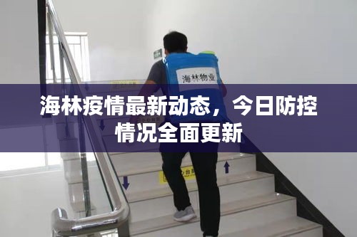 海林疫情最新动态，今日防控情况全面更新