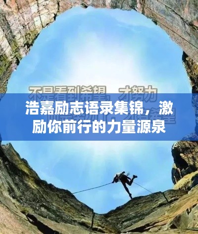 2025年5月8日 第4页