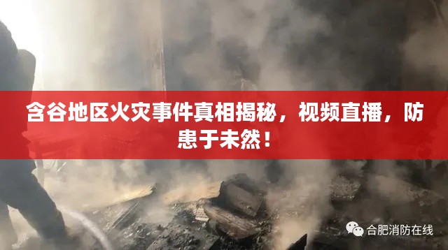 含谷地区火灾事件真相揭秘，视频直播，防患于未然！