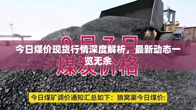 今日煤价现货行情深度解析，最新动态一览无余