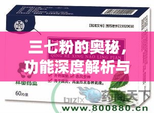 三七粉的奥秘，功能深度解析与科学应用指南