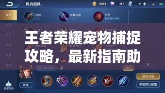 王者荣耀宠物捕捉攻略，最新指南助你轻松捕捉！