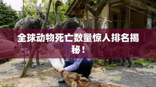 全球动物死亡数量惊人排名揭秘！