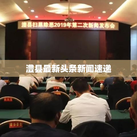 澧县最新头条新闻速递