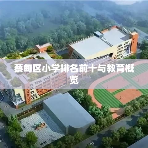 蔡甸区小学排名前十与教育概览