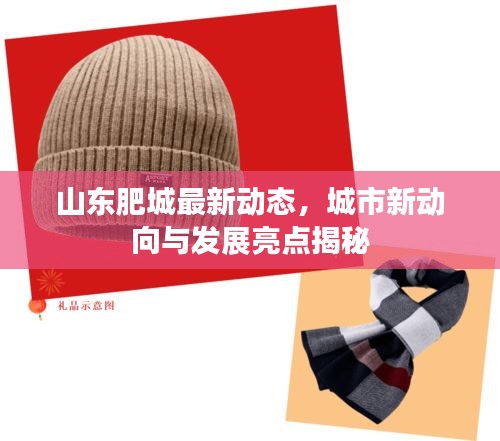 山东肥城最新动态，城市新动向与发展亮点揭秘