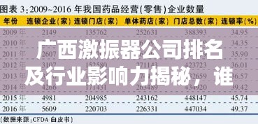 广西激振器公司排名及行业影响力揭秘，谁是领跑者？