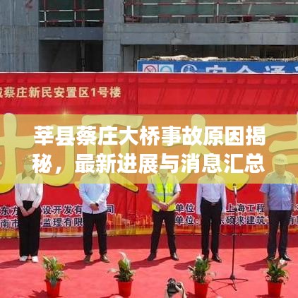 莘县蔡庄大桥事故原因揭秘，最新进展与消息汇总
