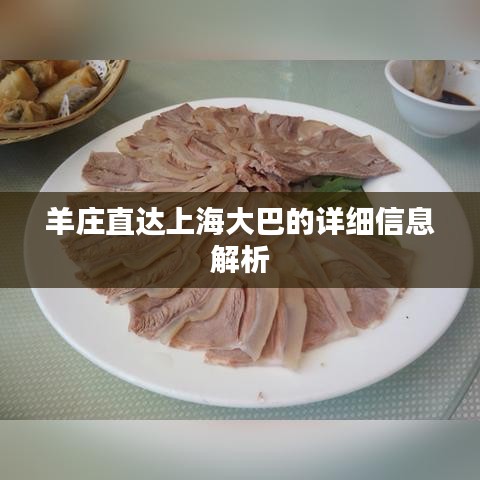 羊庄直达上海大巴的详细信息解析