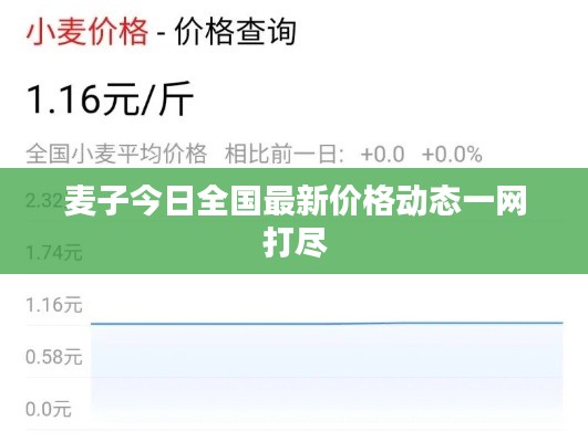 麦子今日全国最新价格动态一网打尽