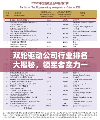 双轮驱动公司行业排名大揭秘，领军者实力一览无余！