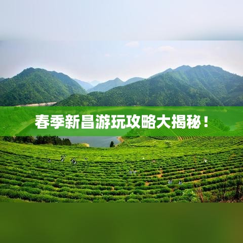 春季新昌游玩攻略大揭秘！
