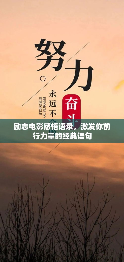 励志电影感悟语录，激发你前行力量的经典语句