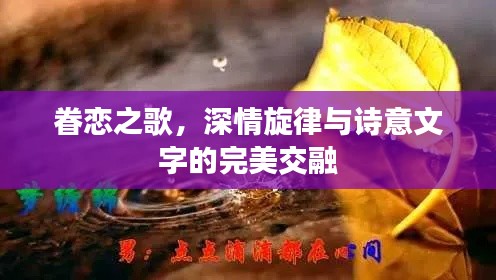 眷恋之歌，深情旋律与诗意文字的完美交融
