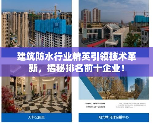 建筑防水行业精英引领技术革新，揭秘排名前十企业！