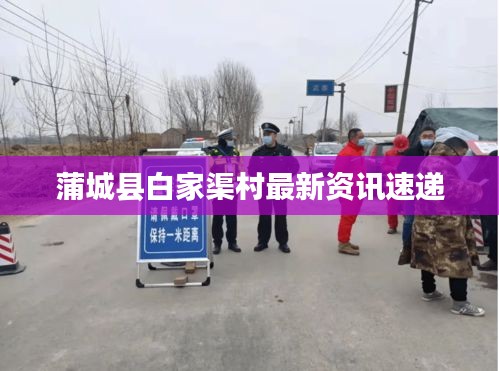 蒲城县白家渠村最新资讯速递