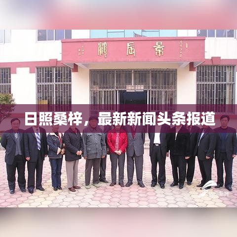 日照桑梓，最新新闻头条报道