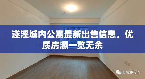 遂溪城内公寓最新出售信息，优质房源一览无余
