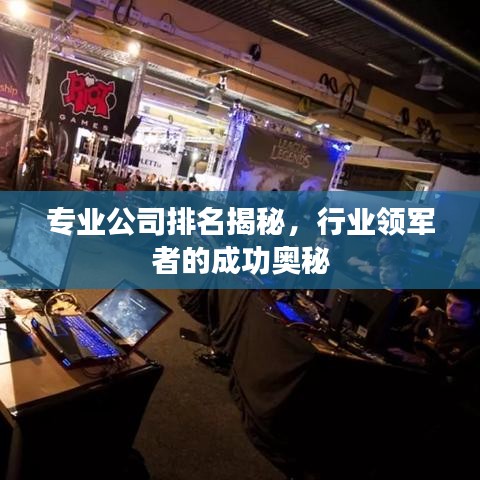专业公司排名揭秘，行业领军者的成功奥秘
