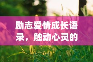 励志爱情成长语录，触动心灵的成长之旅