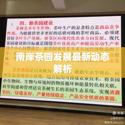 南岸茶园发展最新动态解析