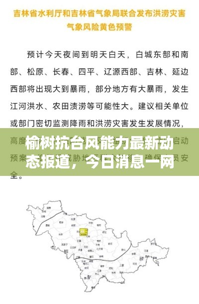 榆树抗台风能力最新动态报道，今日消息一网打尽！