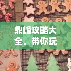 鼎峰攻略大全，带你玩转旅游胜地！