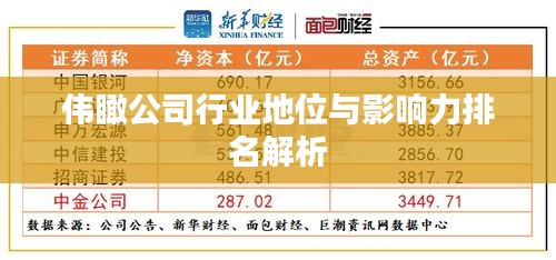 伟瞰公司行业地位与影响力排名解析