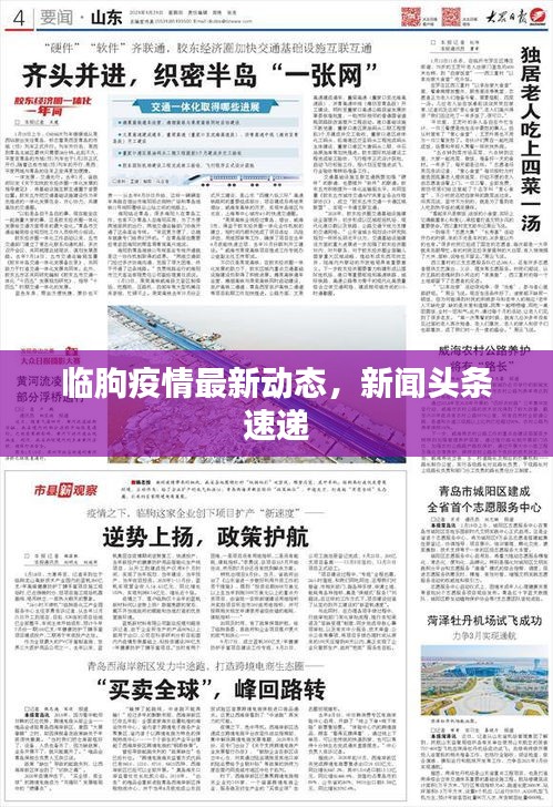 临朐疫情最新动态，新闻头条速递