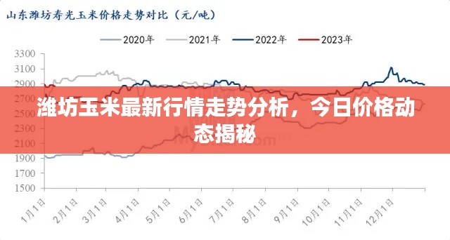 潍坊玉米最新行情走势分析，今日价格动态揭秘