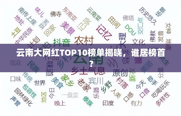 云南大网红TOP10榜单揭晓，谁居榜首？