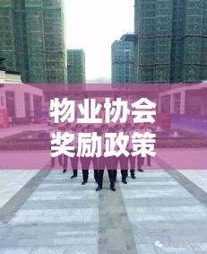 物业协会奖励政策更新揭秘，最新动态一网打尽