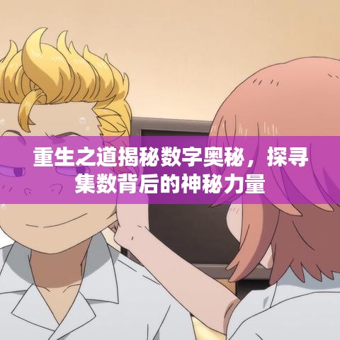 重生之道揭秘数字奥秘，探寻集数背后的神秘力量