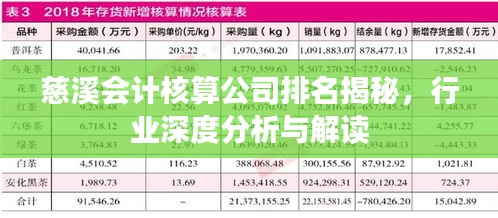 慈溪会计核算公司排名揭秘，行业深度分析与解读