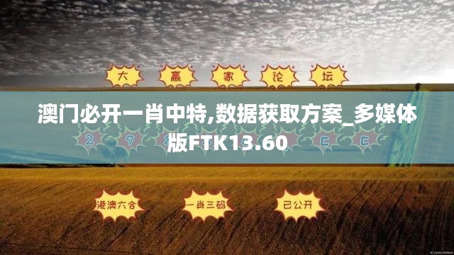 澳门必开一肖中特,数据获取方案_多媒体版FTK13.60