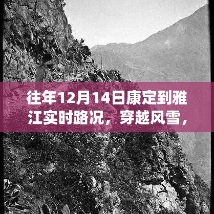 粗枝大叶 第4页