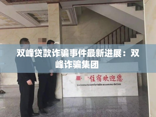 双峰贷款诈骗事件最新进展：双峰诈骗集团 