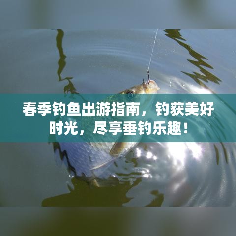 春季钓鱼出游指南，钓获美好时光，尽享垂钓乐趣！