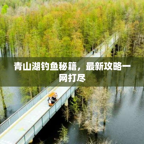 青山湖钓鱼秘籍，最新攻略一网打尽