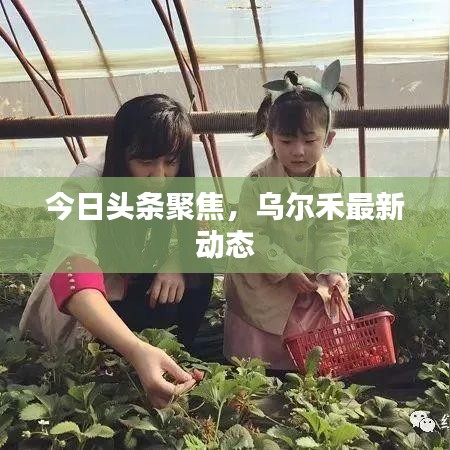 今日头条聚焦，乌尔禾最新动态