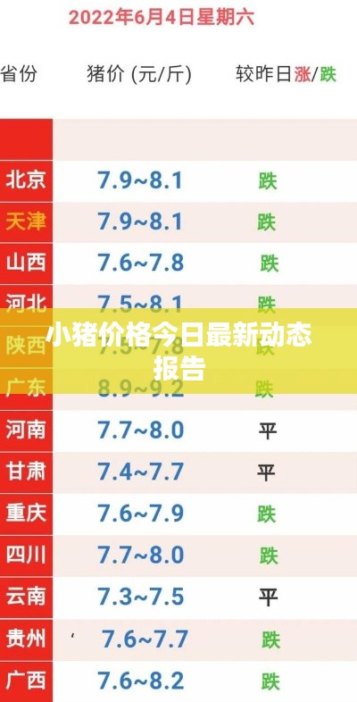 小猪价格今日最新动态报告